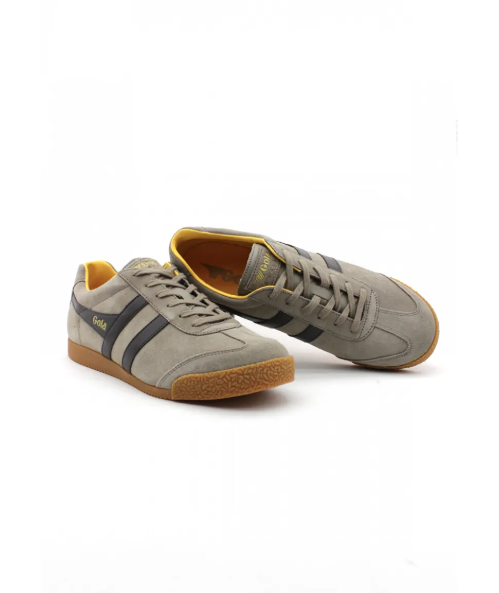 Homme L'Empreinte Chaussures GOLA HARRIER RHINO BROWN