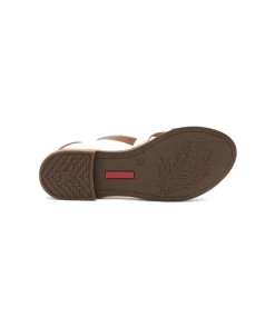 Femme L'Empreinte Chaussures PIKOLINOS ALGUAR W0X-5556C3