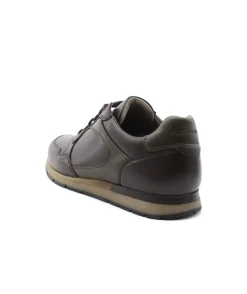 Homme L'Empreinte Chaussures PIUS GABOR 1047.14.04